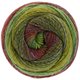 Lana Grossa GOMITOLO MAYA | 862-olive/dark olive/mint/light gray/dark gray/wine red/burgundy/green