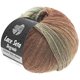 Lana Grossa LACE Seta Dégradé 50g | 115-natural/green gray/nougat/chocolate brown