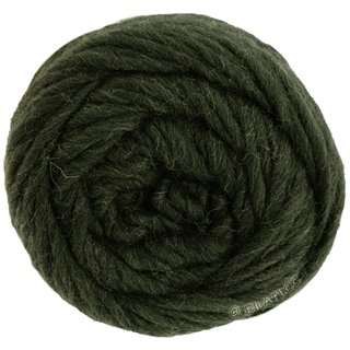 Lana Grossa LANDLUST DIE FILZWOLLE