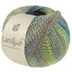 Lana Grossa LANDLUST DIE SOCKENWOLLE PRINT | 221-sweet lime/light olive/dark olive/light gray/light blue/turquoise/jade/blue mottled
