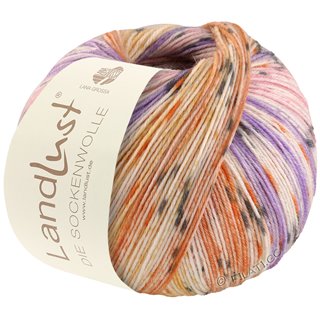 Lana Grossa LANDLUST DIE SOCKENWOLLE