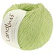 Lana Grossa LANDLUST SOMMERSEIDE | 061-spring green
