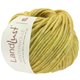 Lana Grossa LANDLUST WINTERWOLLE | 01-lemon yellow mottled