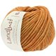 Lana Grossa LANDLUST WINTERWOLLE | 03-orange mottled