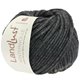 Lana Grossa LANDLUST WINTERWOLLE | 07-anthracite mottled