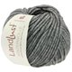 Lana Grossa LANDLUST WINTERWOLLE | 08-medium gray mottled