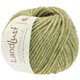 Lana Grossa LANDLUST WINTERWOLLE | 12-linden green mottled