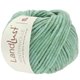 Lana Grossa LANDLUST WINTERWOLLE | 17-mint mottled