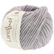 Lana Grossa LANDLUST WINTERWOLLE | 22-lilac mottled