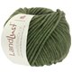 Lana Grossa LANDLUST WINTERWOLLE | 25-forest green mottled