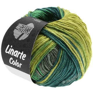Lana Grossa LINARTE Color