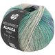 Lana Grossa MEILENWEIT 100g Alpaca Print | 2203-