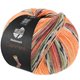 Lana Grossa MEILENWEIT 100g Cashmere Pista | 141-orange/light gray/dark gray/brown orange/light green/heather/blackberry/gray brown striped