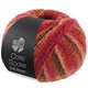 Lana Grossa MEILENWEIT 100g Cosy Socks Multi Stripes | 159-red/fuchsia/orange/dark brown/salmon