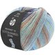 Lana Grossa MEILENWEIT 100g Cotton Bamboo Denim | 3315-light gray/ice blue/gray/hazelnut brown/dark blue/light blue