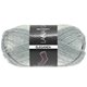 Lana Grossa MEILENWEIT 50g Eleganza | 6701-silver gray/light gray