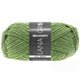 Lana Grossa MEILENWEIT 50g Late Night | 2914-pastel green