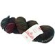 Lana Grossa MEILENWEIT 100g Merino Hand-dyed | 404-turquoise/black/petrol/wine red/carnation/light green/purple/pink