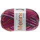 Lana Grossa MEILENWEIT 100g Merino Extrafine Appiano | 2554-