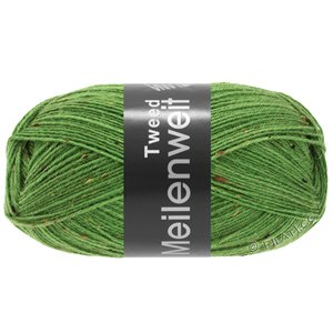 Lana Grossa MEILENWEIT 100g Tweed | 165-green