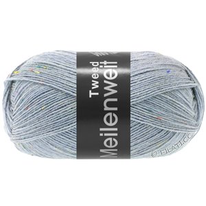 Lana Grossa MEILENWEIT 100g Tweed | 171-gray blue