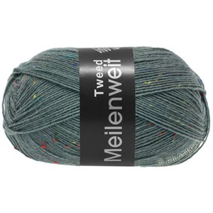 Lana Grossa MEILENWEIT 100g Tweed | 172-blue gray