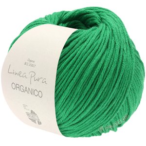 Lana Grossa ORGANICO  Uni (Linea Pura) | 129-green