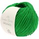 Lana Grossa ORGANICO (Linea Pura) | 163-grass green