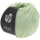 Lana Grossa PIMA | 42-light green