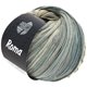 Lana Grossa ROMA | 102-light gray/green gray/silver
