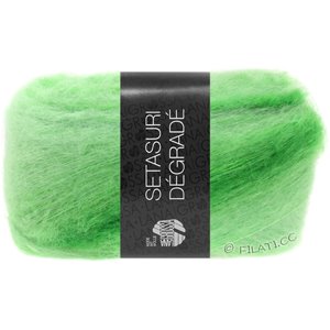 Lana Grossa SETASURI Dégradé | 103-subtle green/light green/apple green