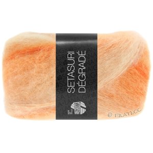 Lana Grossa SETASURI Dégradé | 104-peach/salmon/orange