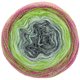 Lana Grossa SHADES OF MERINO COTTON | 617-dark gray/light gray/mint/light olive/olive/fuchsia