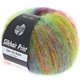 Lana Grossa SILKHAIR Print/Landlust | 335-red/blue/light green/dark violet