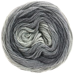 Lana Grossa SLOW WOOL LINO Dégradé | 206-medium gray/dark gray/anthracite