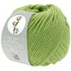 Lana Grossa SOFT COTTON Big | 11-light green
