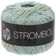 Lana Grossa STROMBOLI | 108-gray blue/gray green