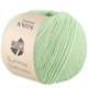 Lana Grossa SUMMER SOFTNESS | 23-white green