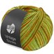 Lana Grossa VINTAGE SOCKS Multi | 1054-spring green/jade/mustard/olive/ochre