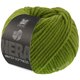 Lana Grossa WINTER SOFTNESS (Nera) | 27-green