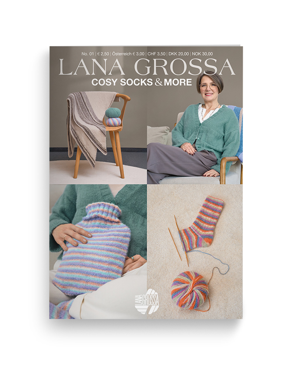 Cosy Socks & More Booklet from Lana Grossa