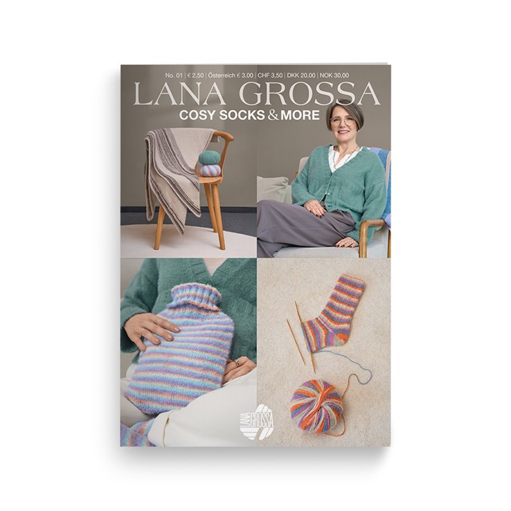 Cosy Socks & More Booklet from Lana Grossa
