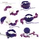 Lana Grossa Pompom-Set small