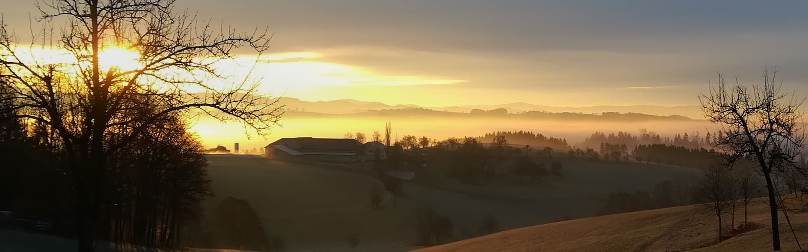 HIGH QUALITY & CREATIVE KNIT DESIGN Model Packages